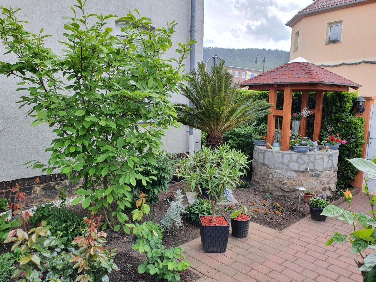 Apartment Ferienwohnung-thale-ritter Ii